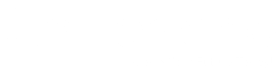Light Logo