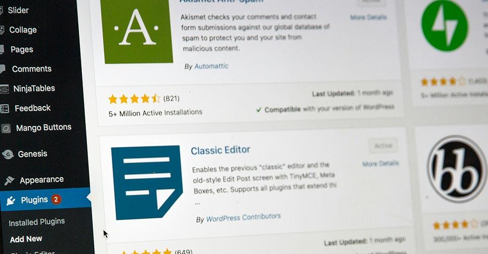 How Does WordPress Work?
