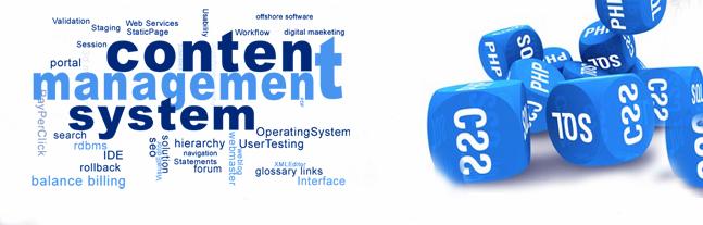 The Future Prospect of CMS Development