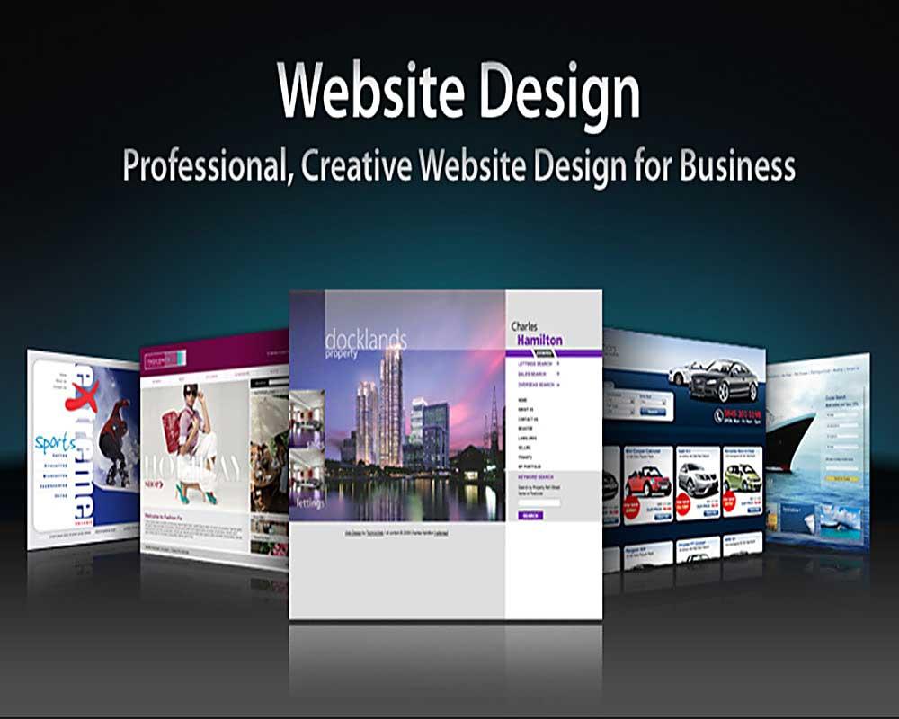 Professional Web Designing Company: Check Their Dynamism