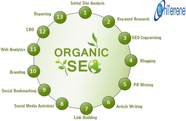 Why Organic SEO Services Are Highly Demanded Today?