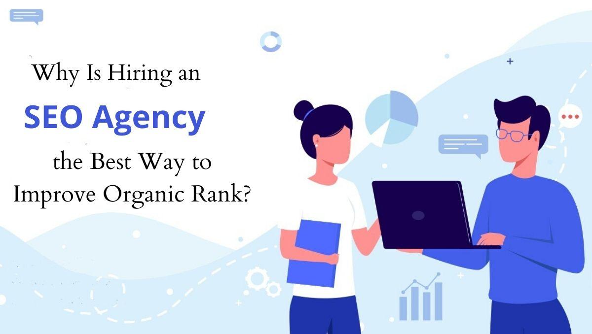 Why Is Hiring an SEO Agency the Best Way to Improve Organic Rank?